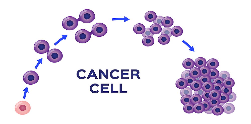 Why Are Some Organs more Susceptible to Cancer?